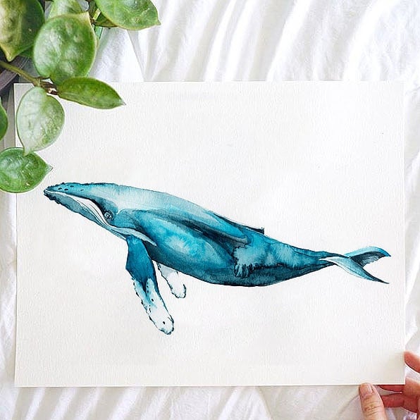 Blue Humpback Whale