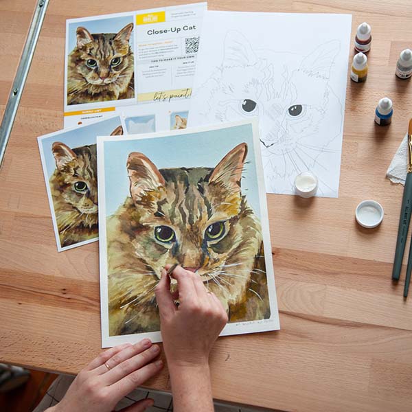 Close Up Cat