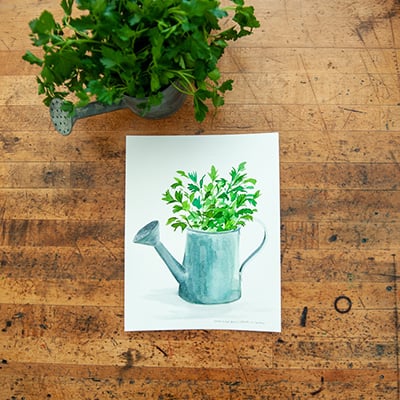 Watering Can