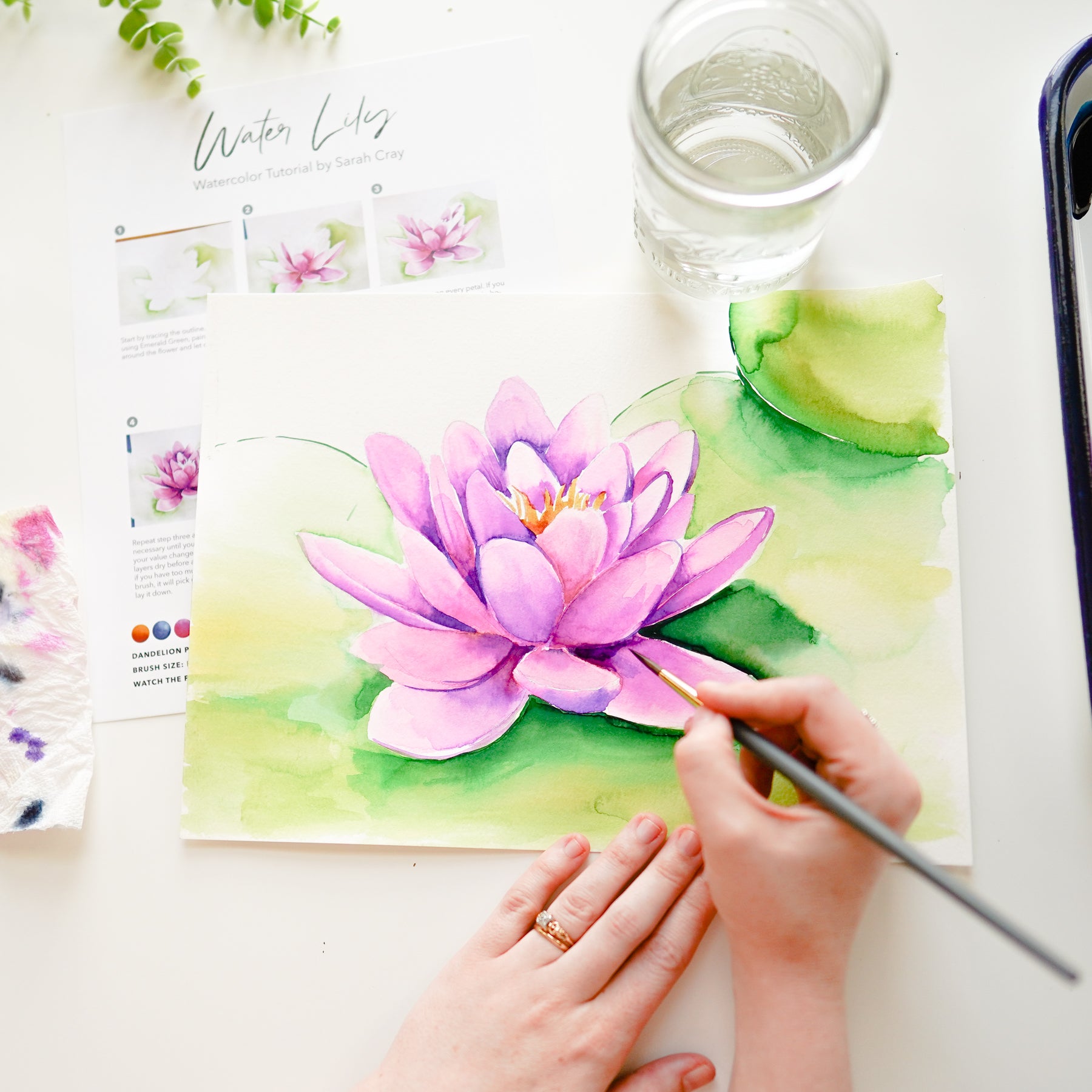 Water Lily