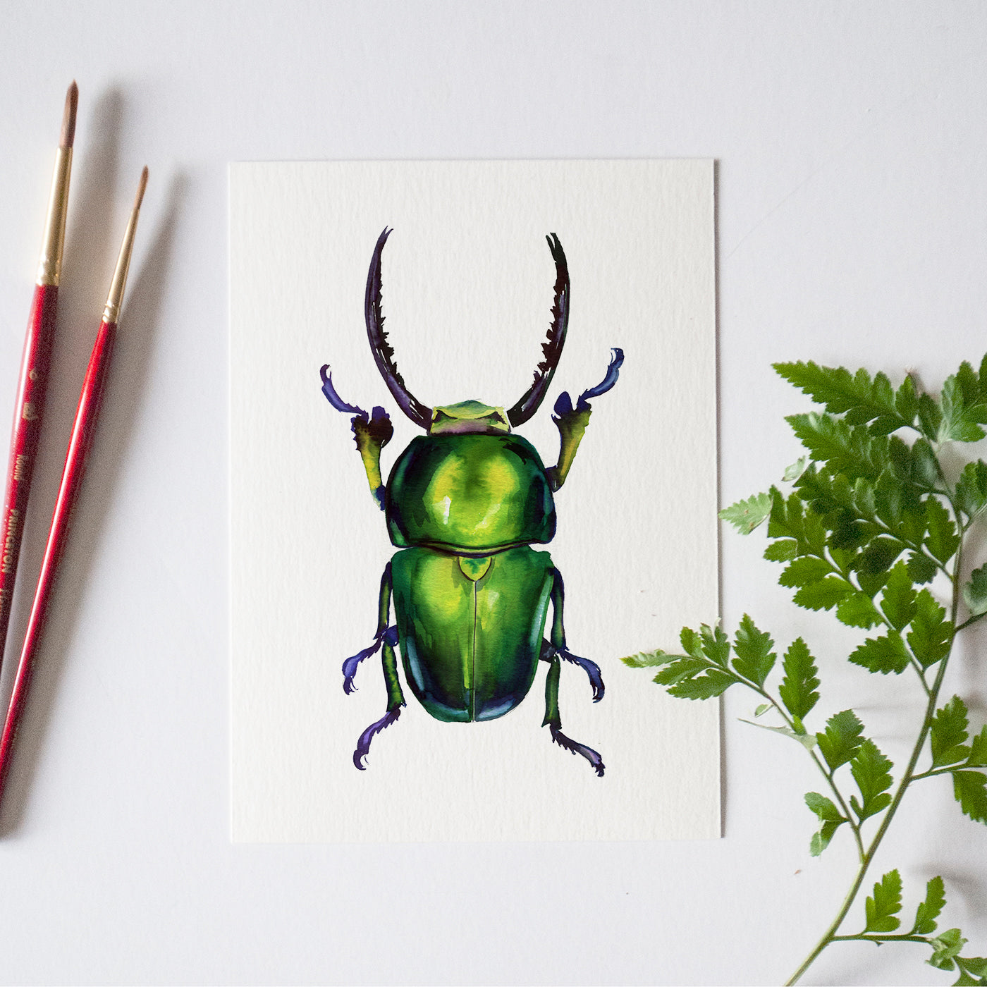 Beetle