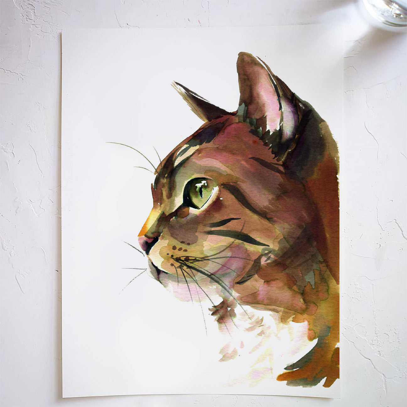 Kitty Cat