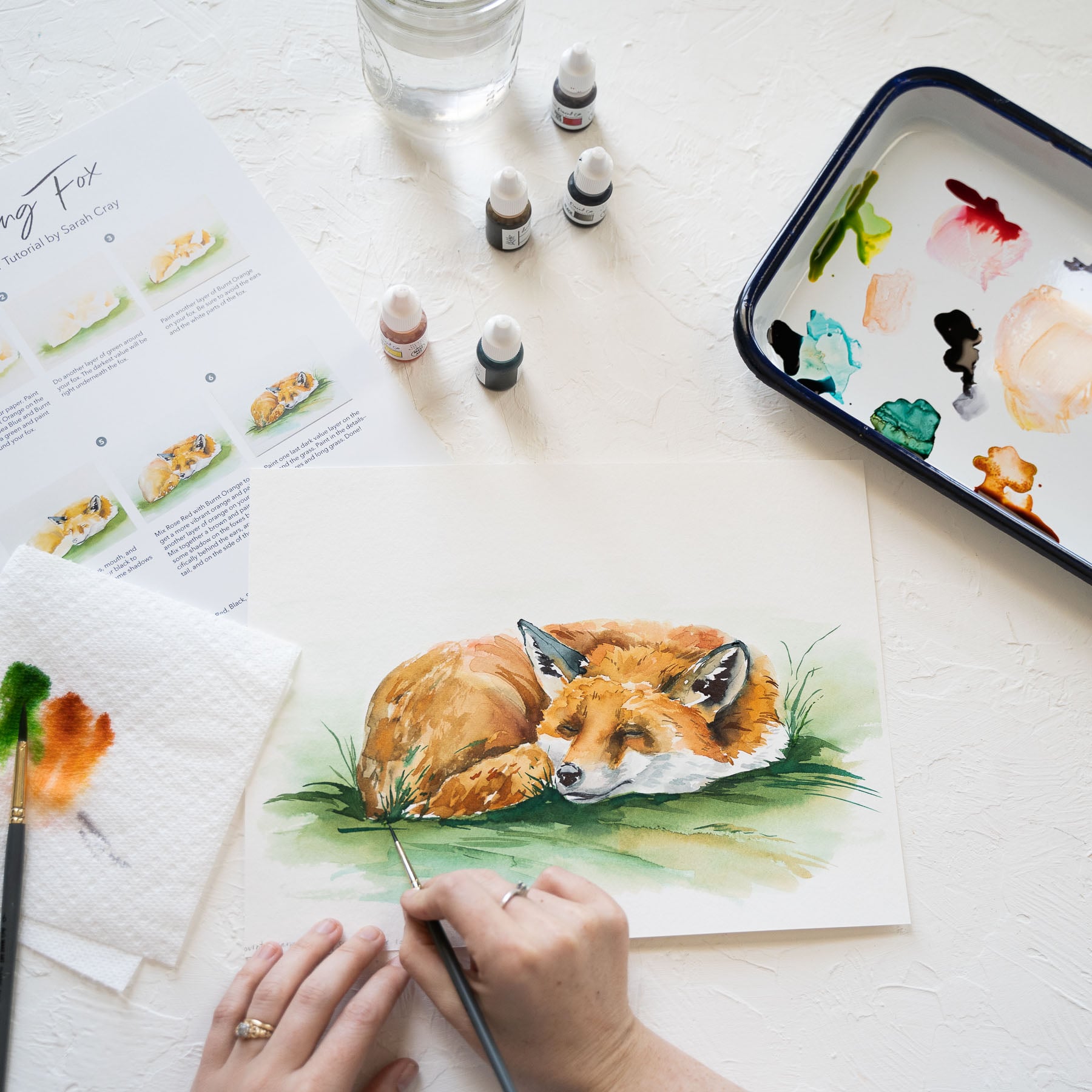 Dozing Fox