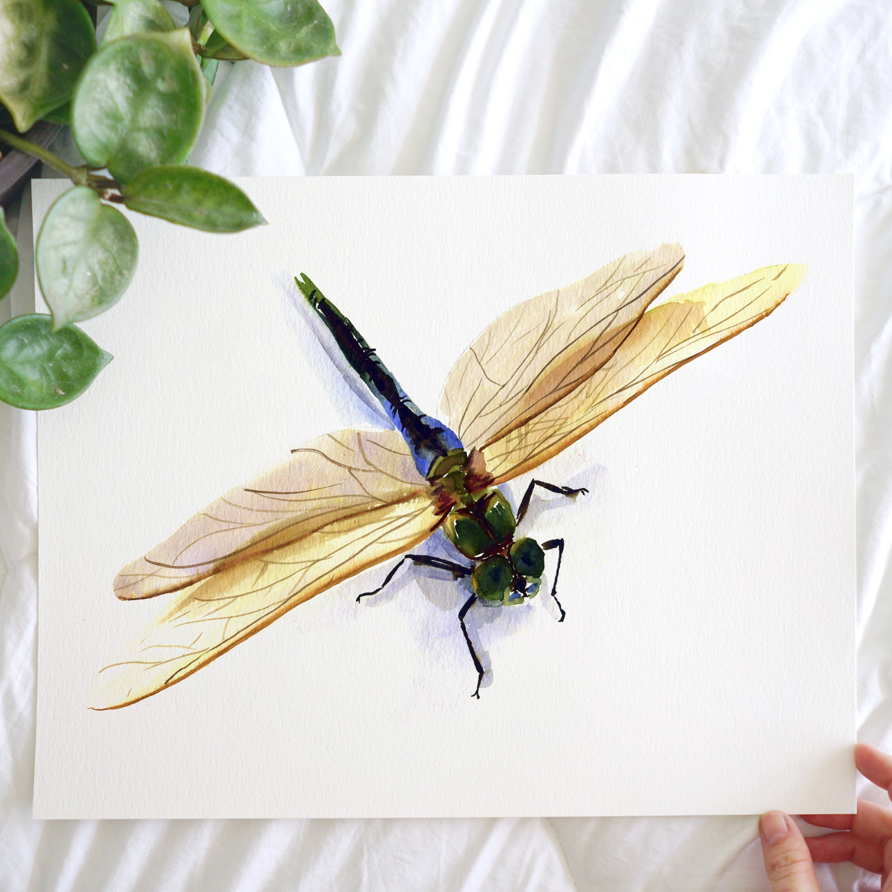 Dragonfly