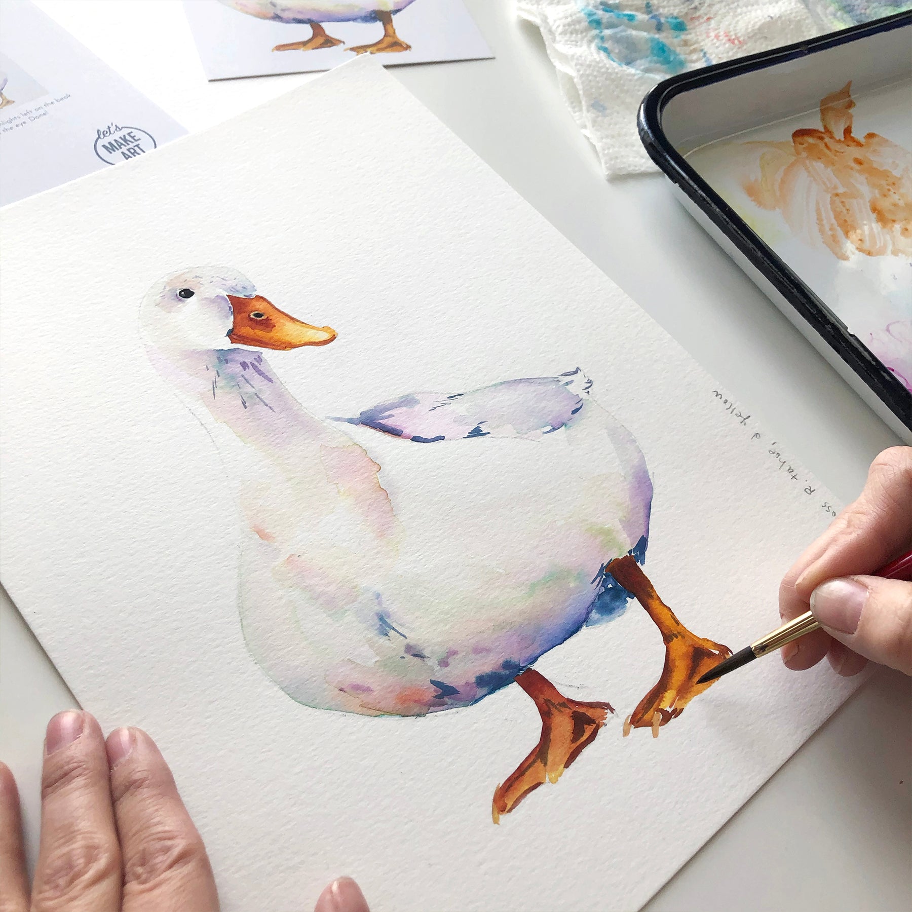Duck