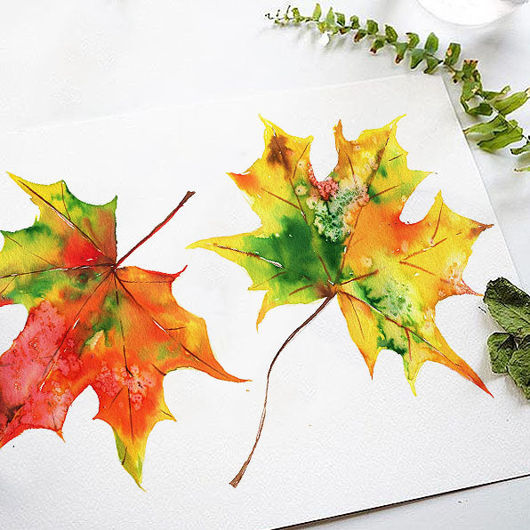 Fall Leaves