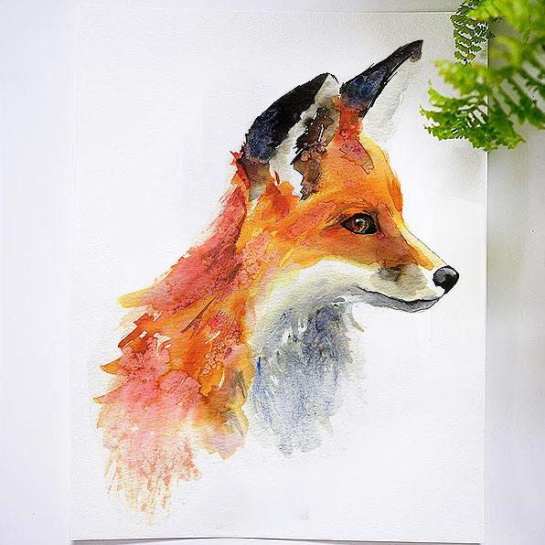 Foxy Fox