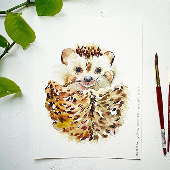 Hedgehog