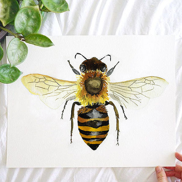 Honey Bee