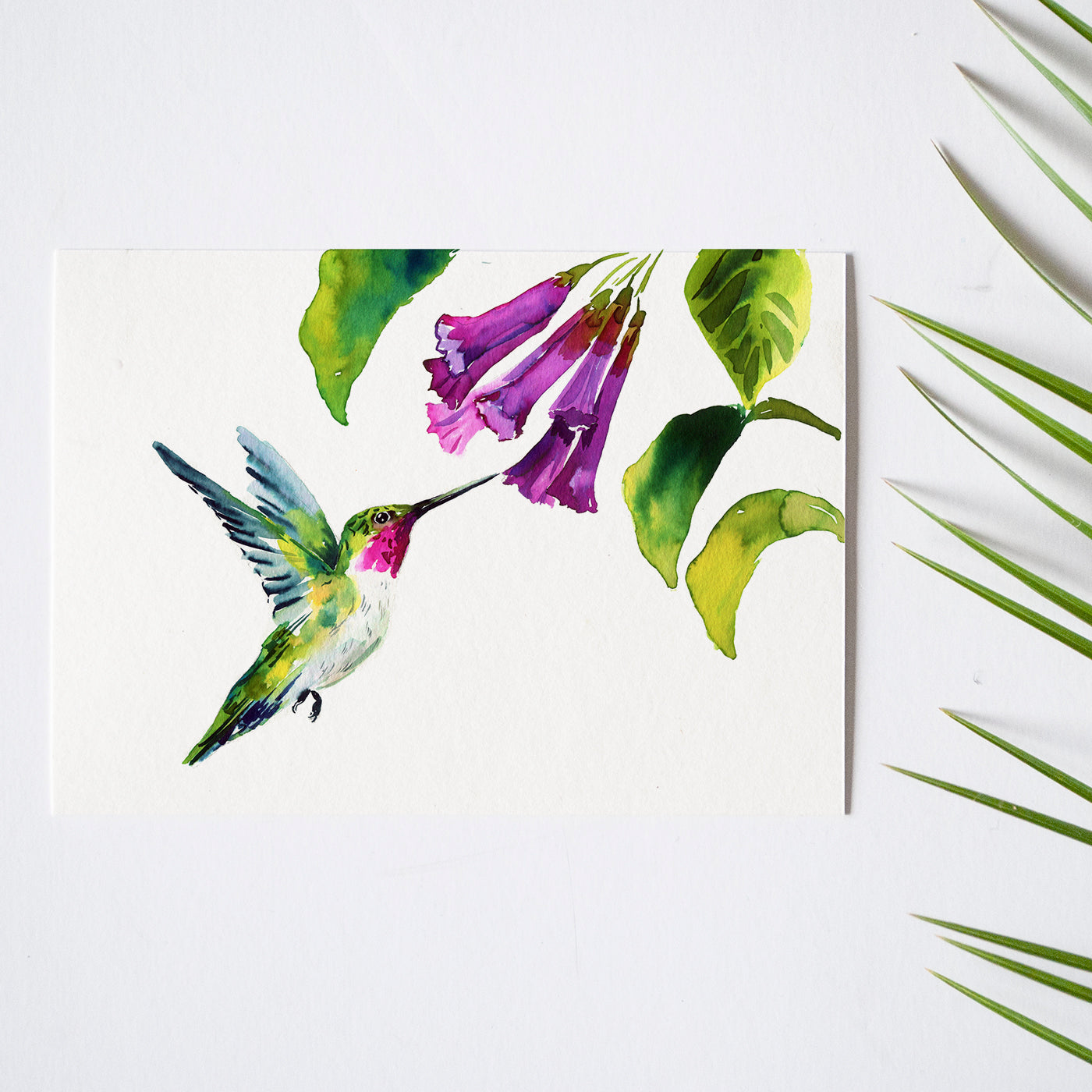 Hummingbird