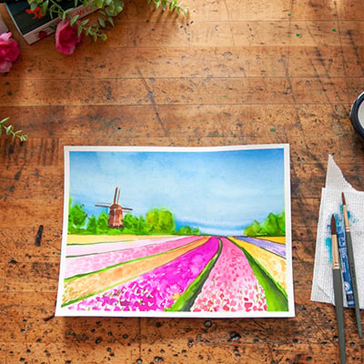 Tulip Fields 