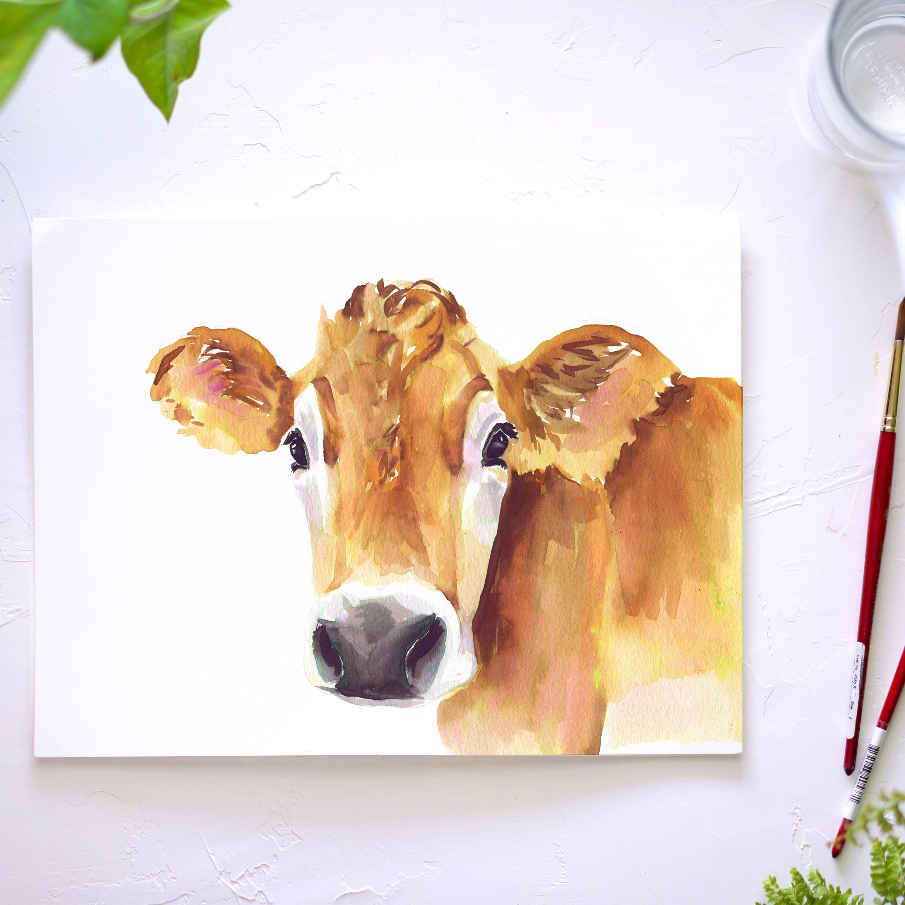 Jersey Cow