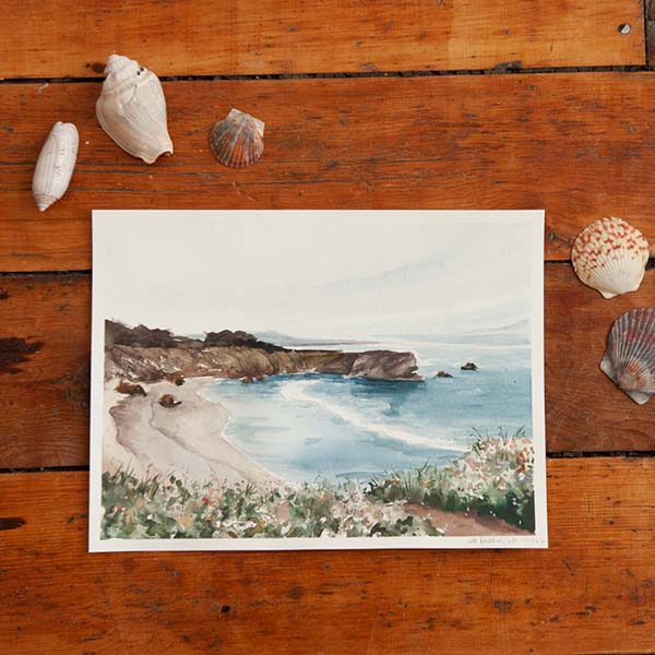 North Pacific Coast