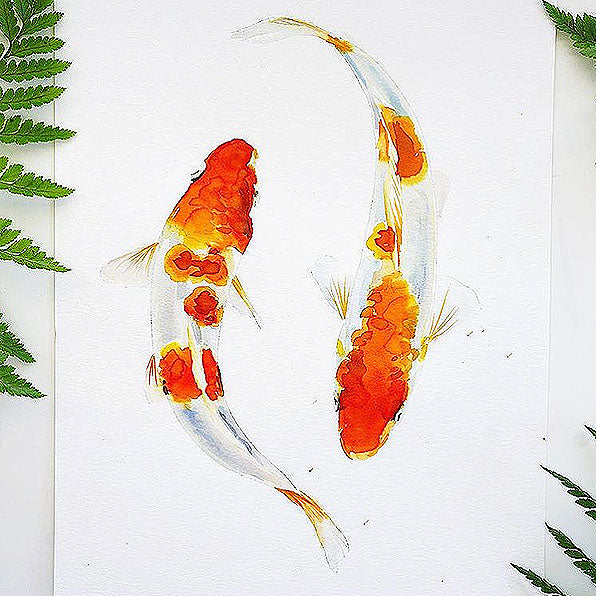 Koi Fish