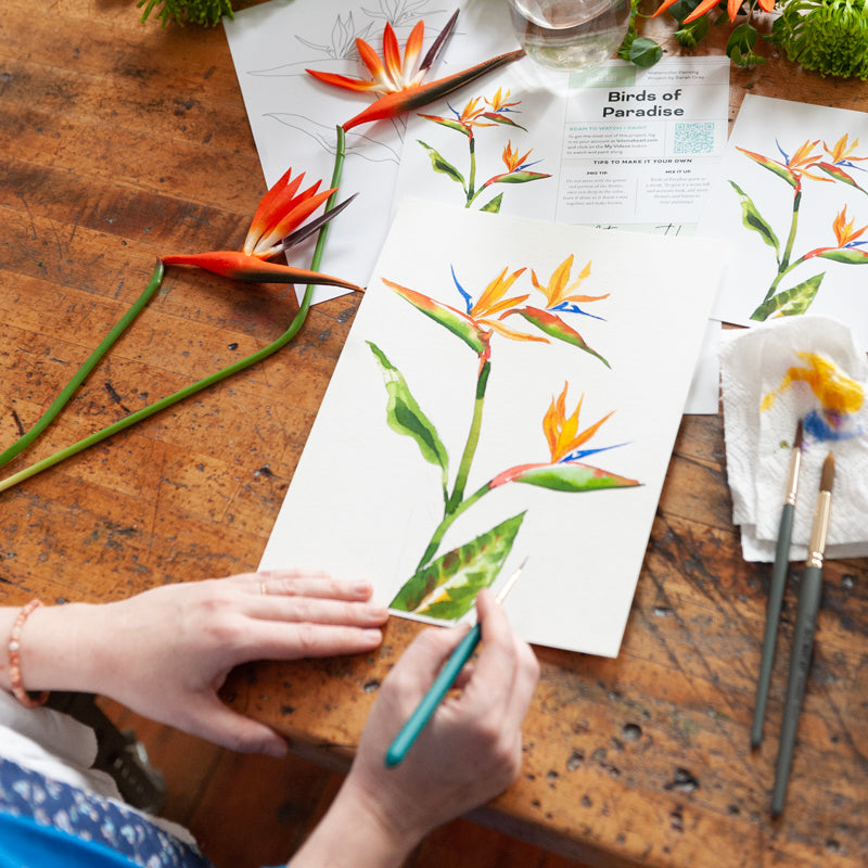 Birds of Paradise