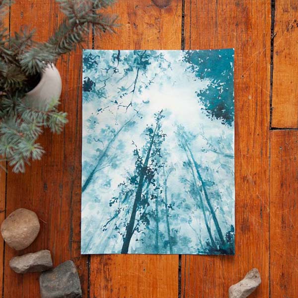 Misty Treetops