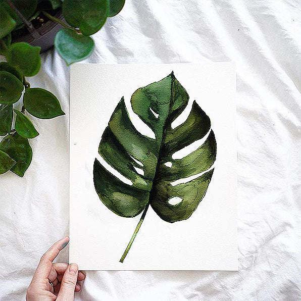 Monstera Leaf