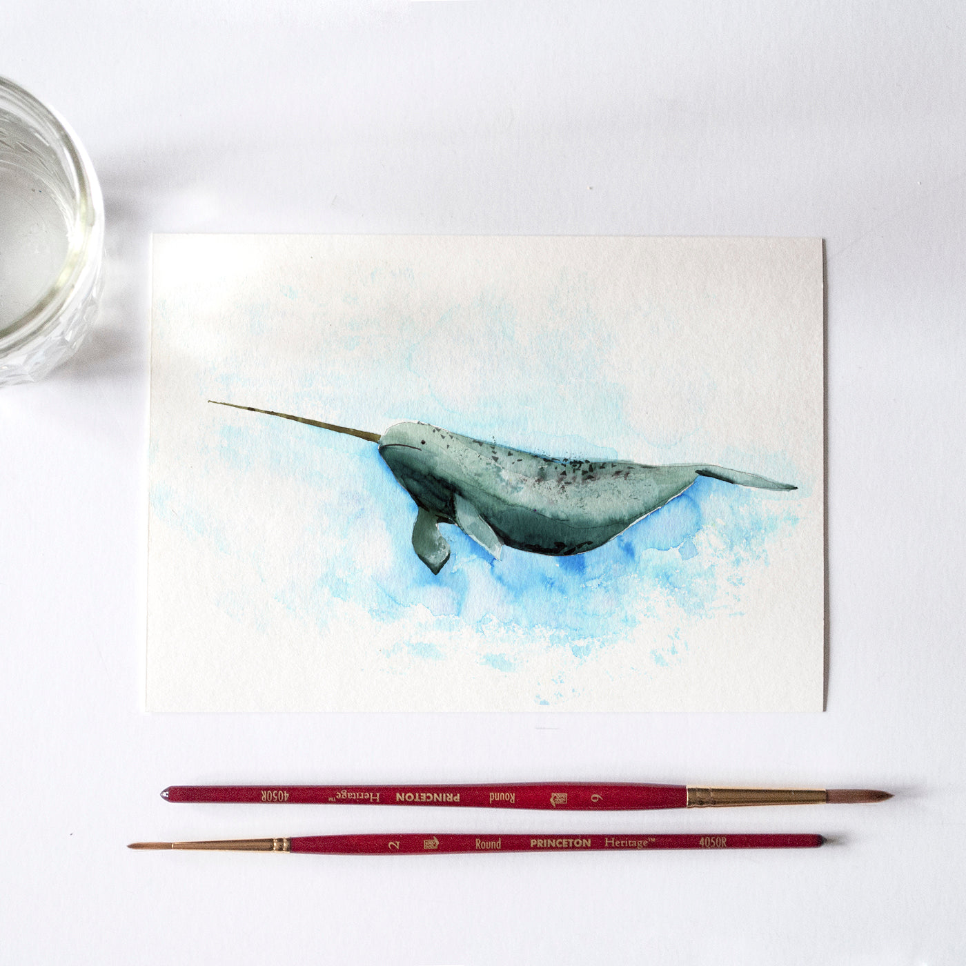 Narwhal