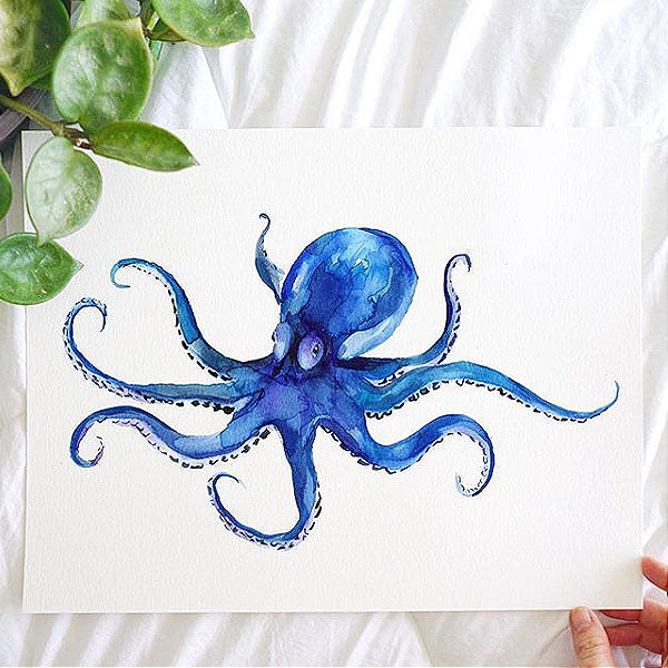Octopus