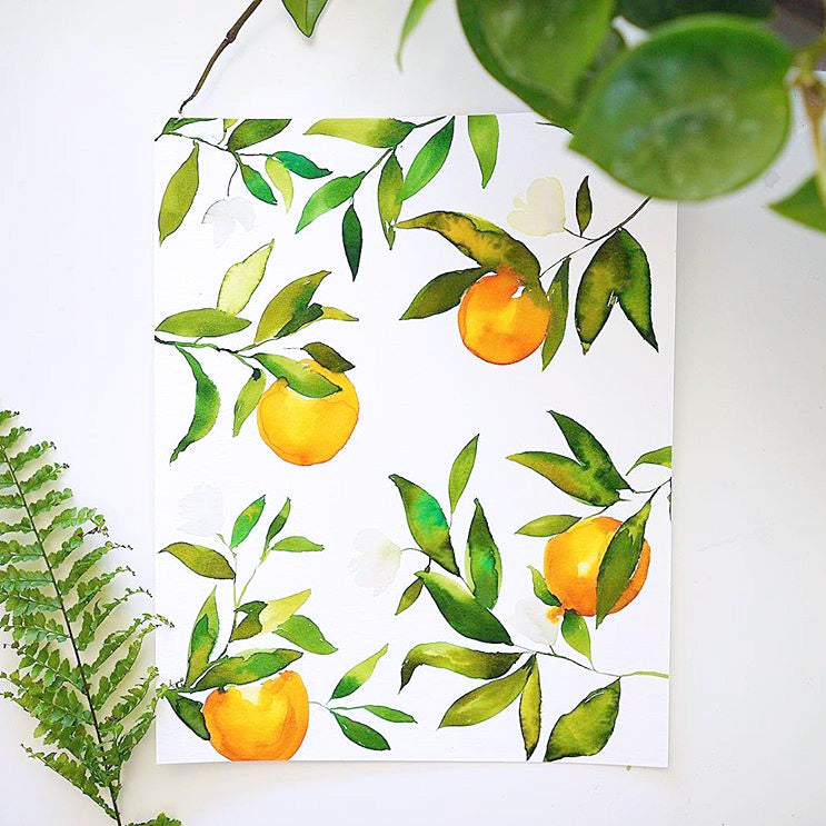 Orange Blossoms