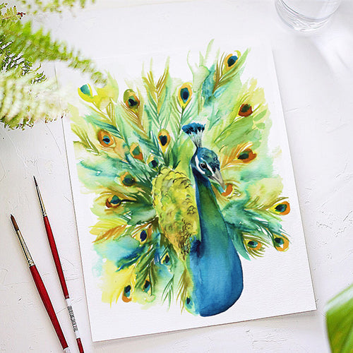 Peacock