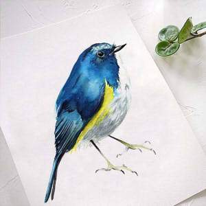 Bluebird