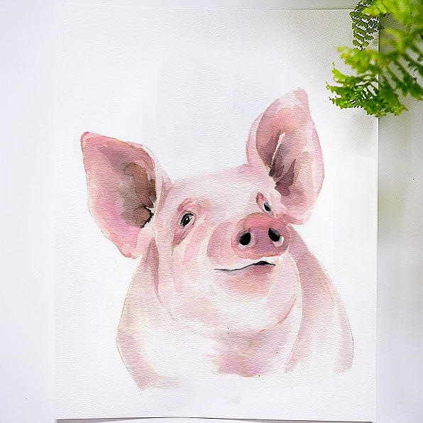 Piggy Pig