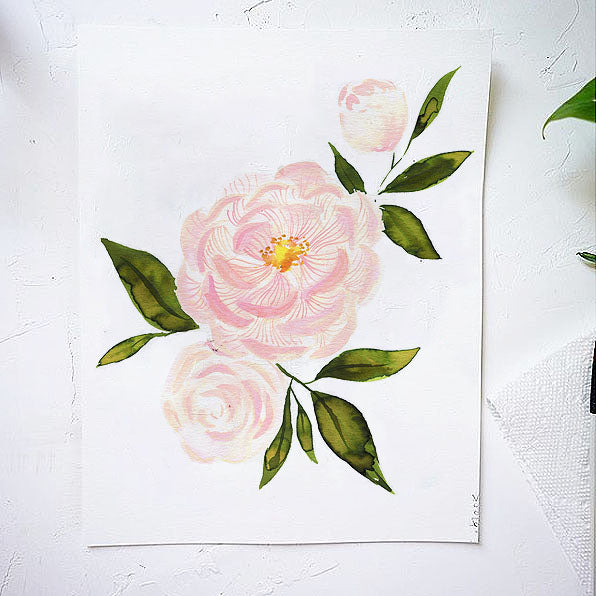 Pink Peonies