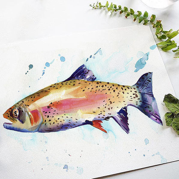 Rainbow Trout