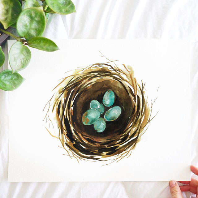 Robin Eggs