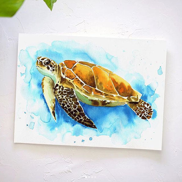 Sea Turtle