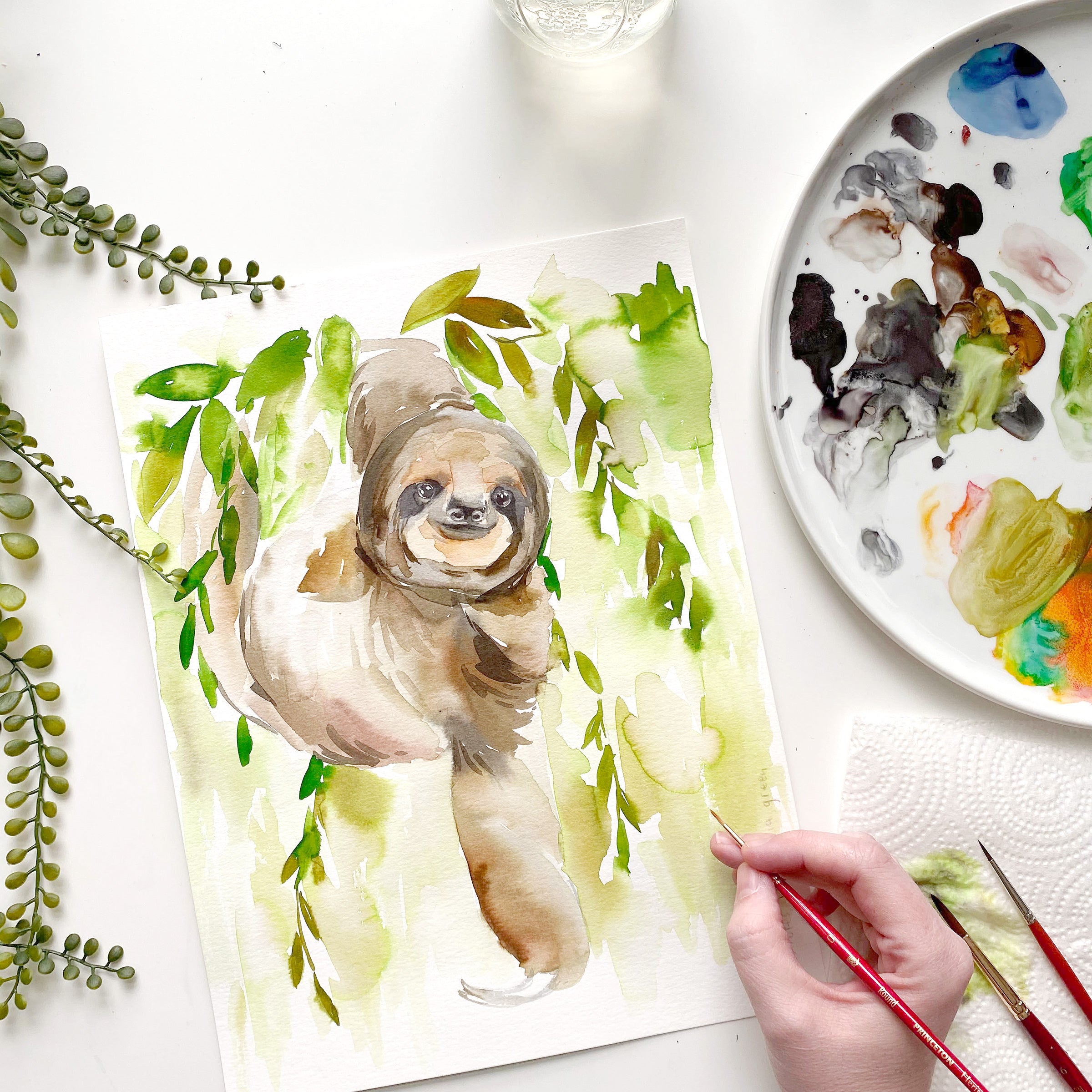 Sloth
