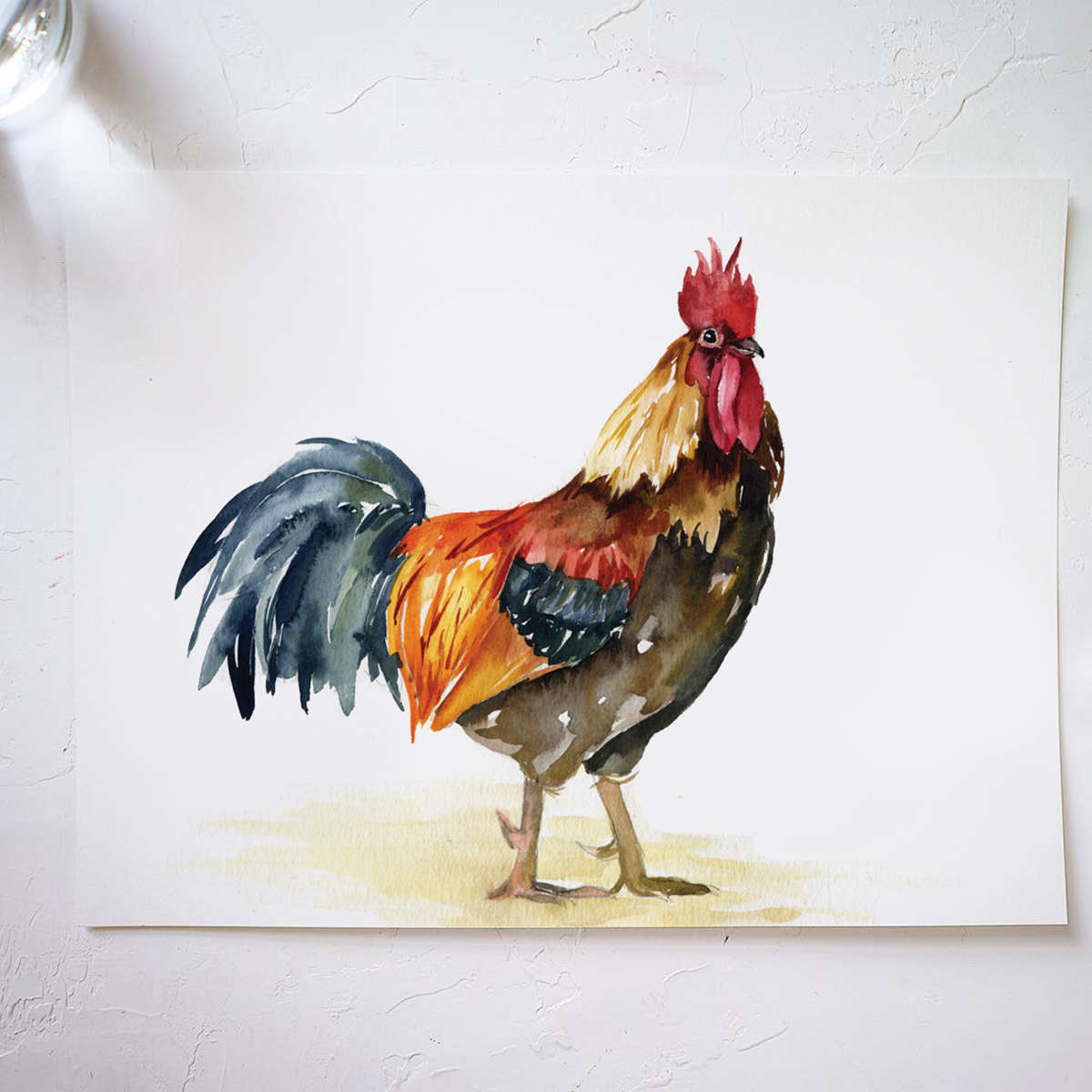 Rooster