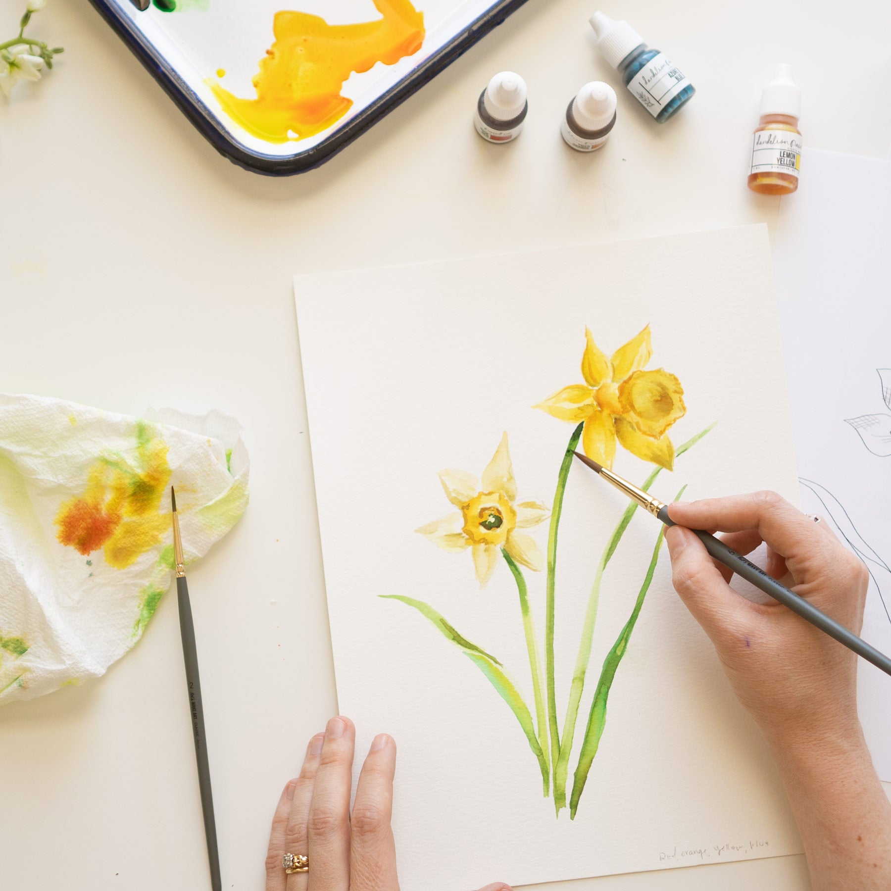 Daffodils