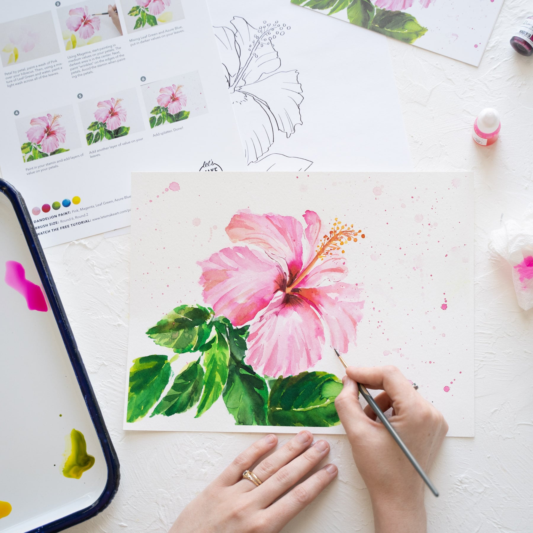 Pink Hibiscus