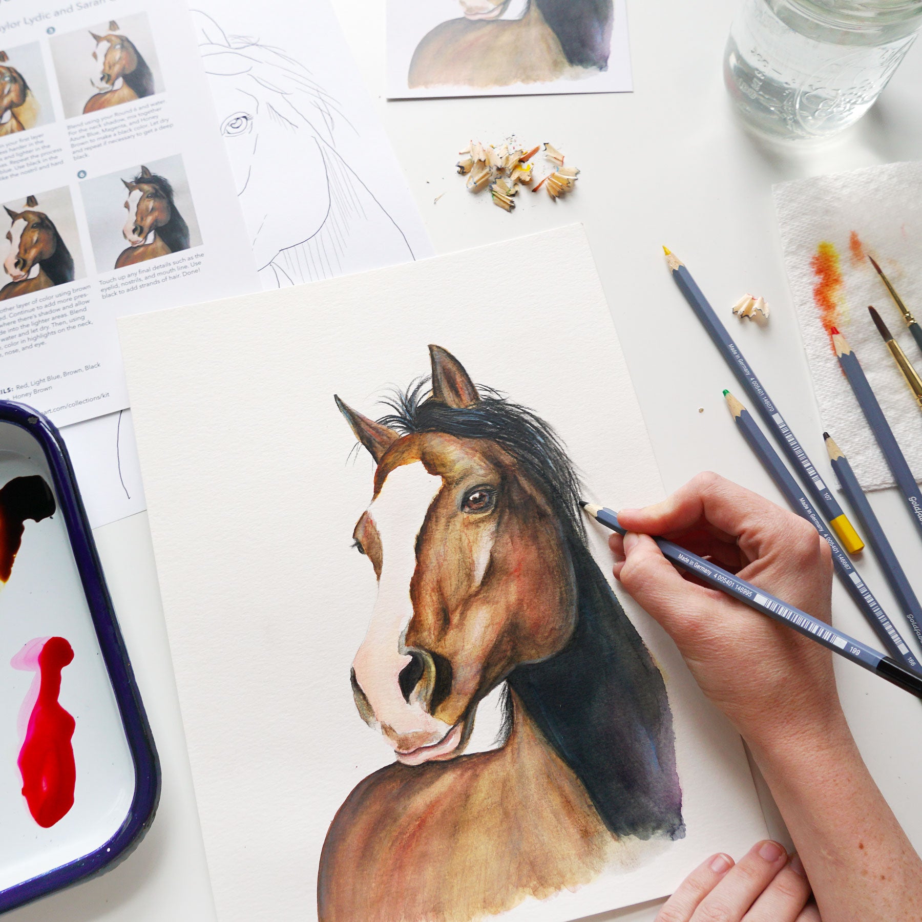 Horse