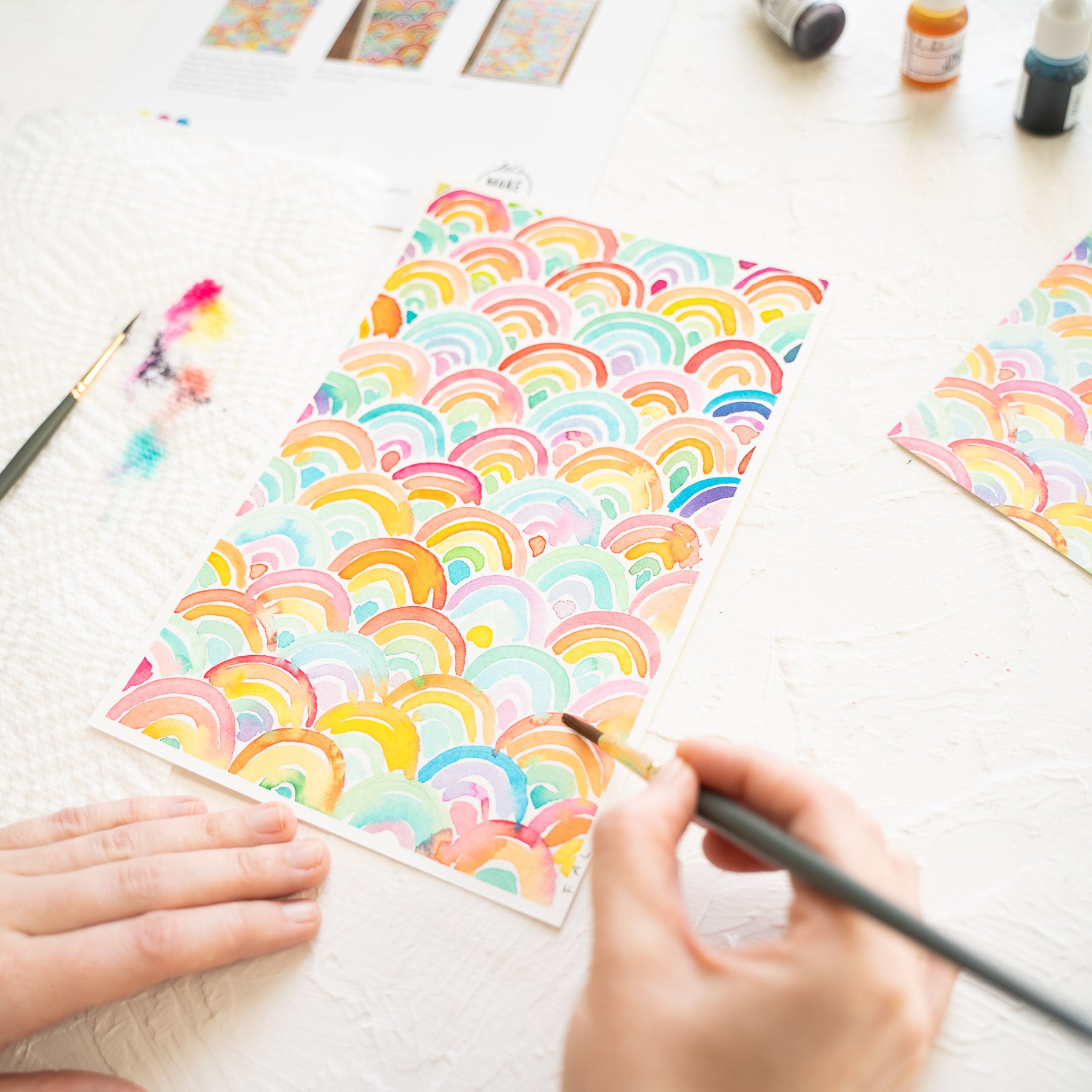 Rainbow Scallop