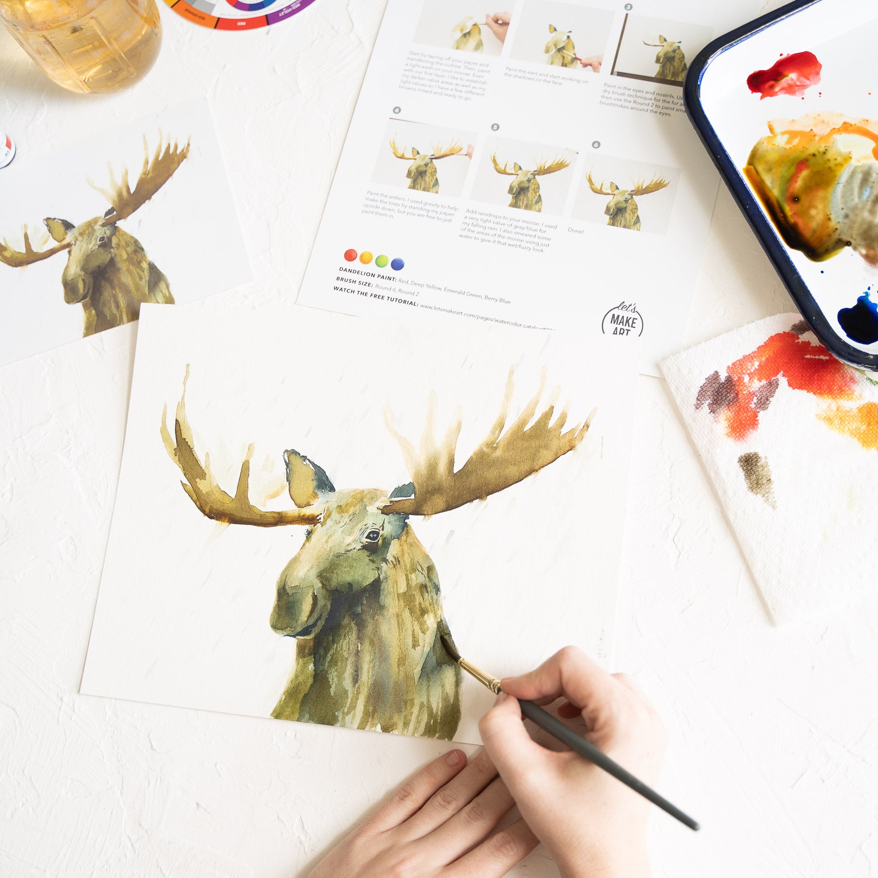 Moose