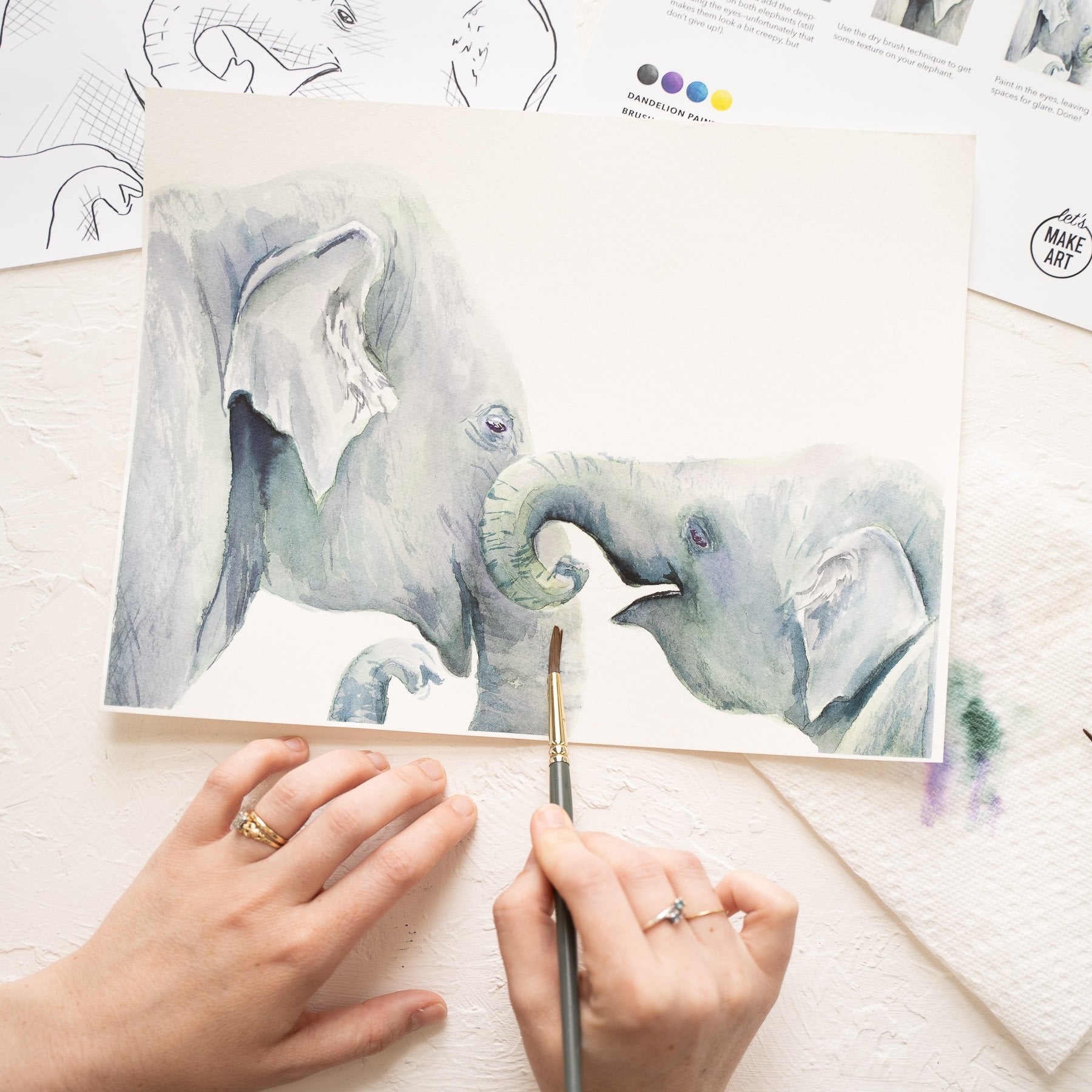 Elephant Friends
