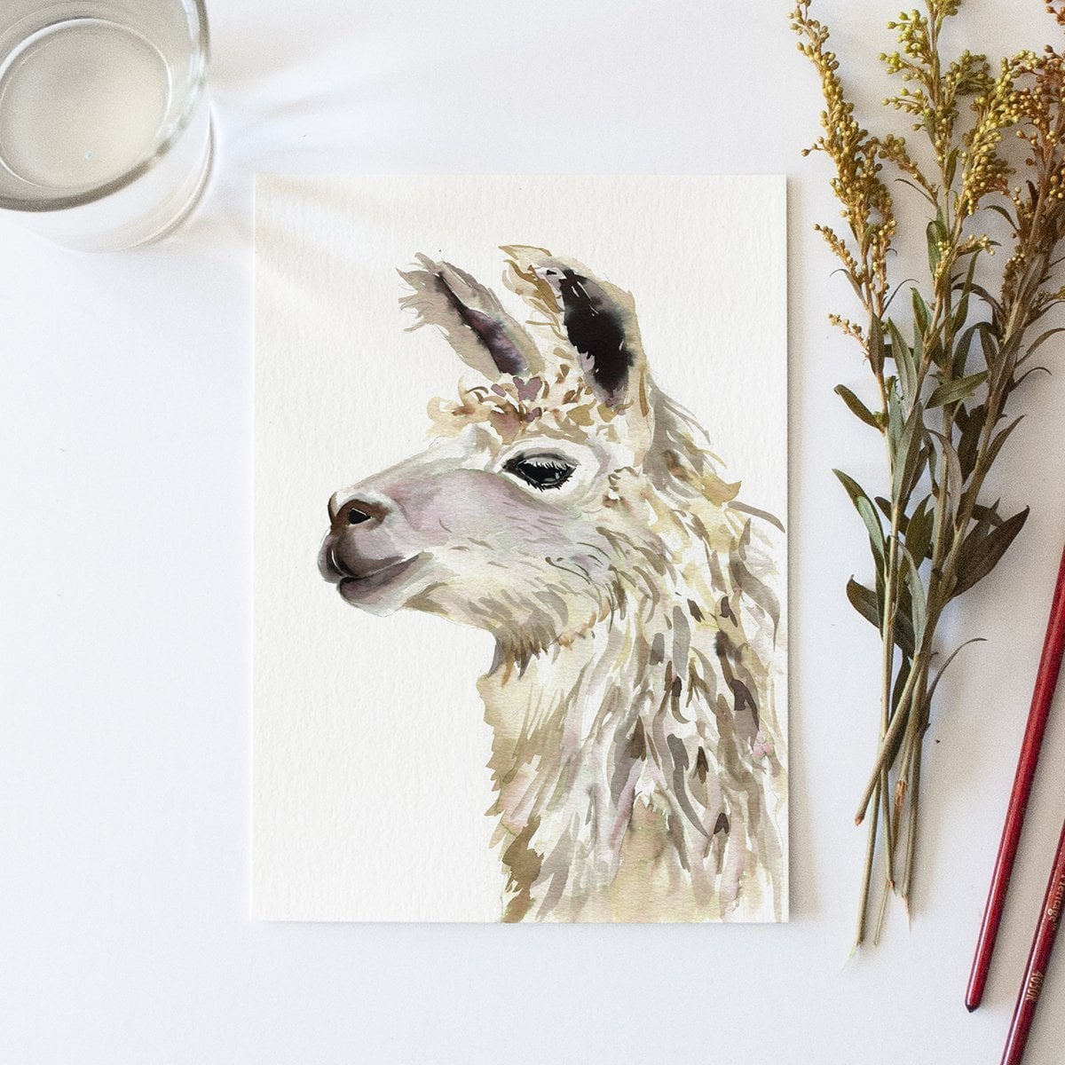 Llama