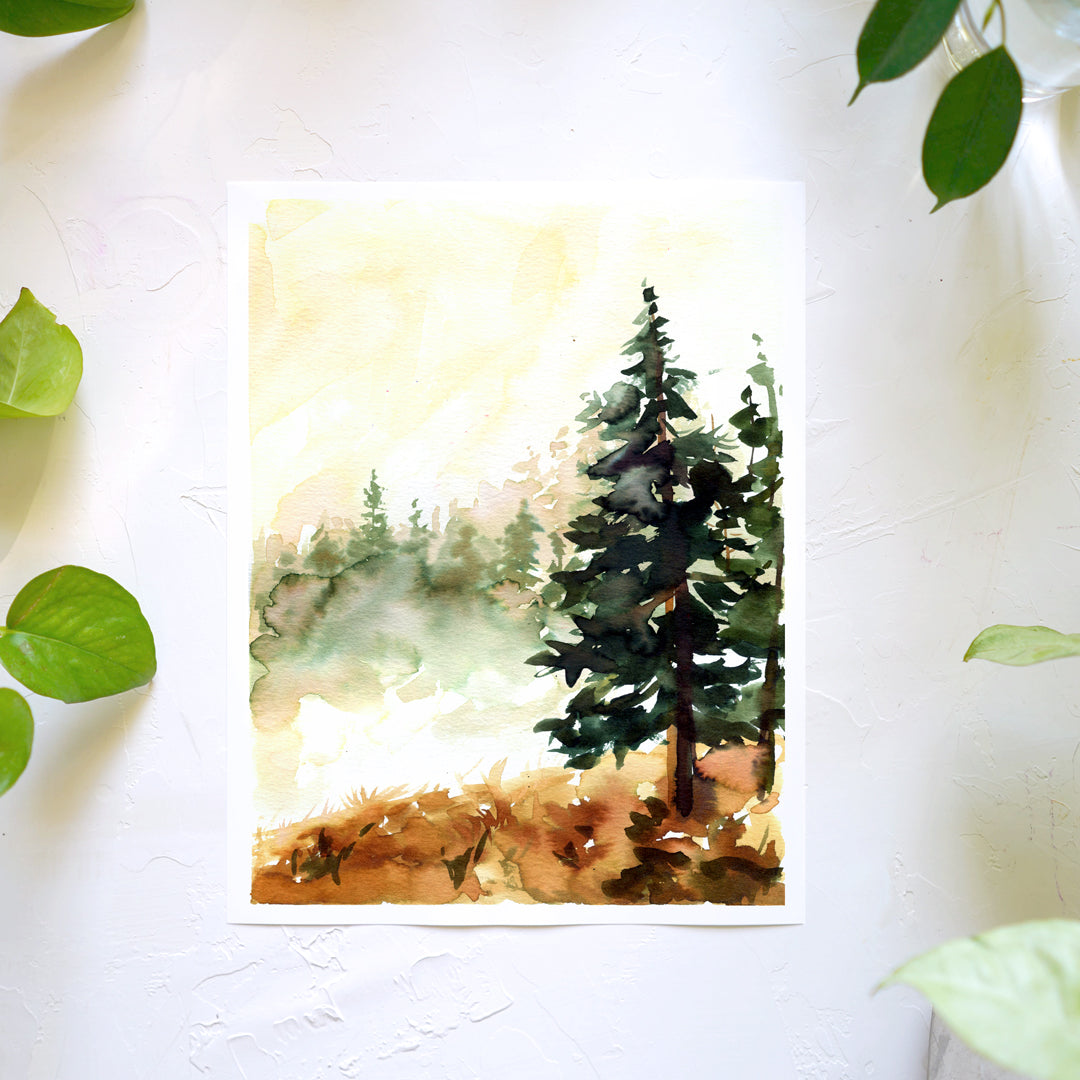 Wild Trees