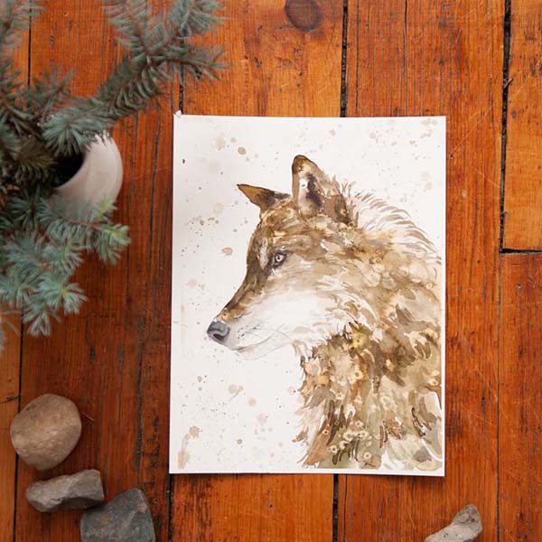 Wolf