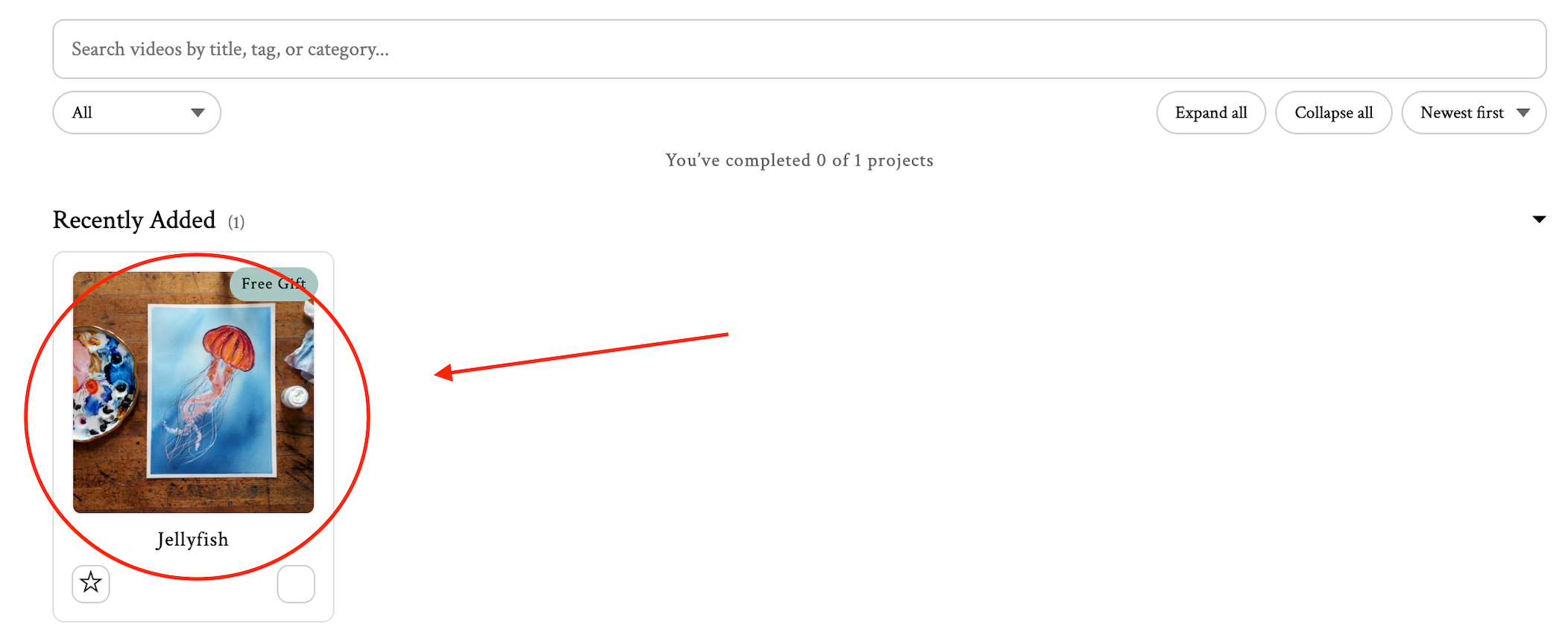 Screenshot showing project cards in My Videos